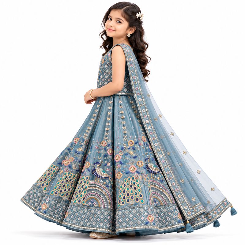 Powder Blue Embroidered Lehenga Set