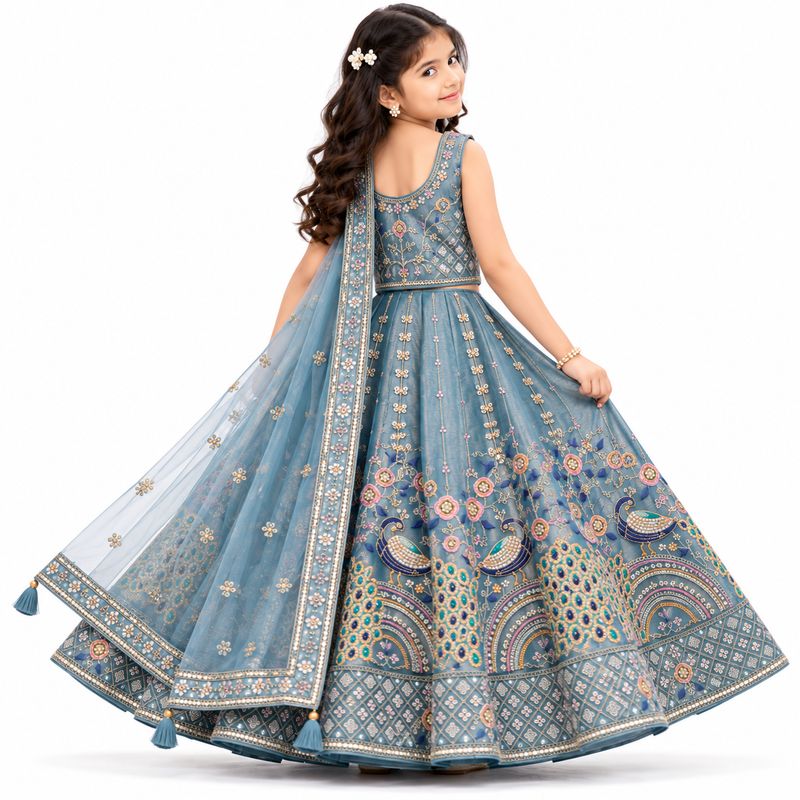 Powder Blue Embroidered Lehenga Set