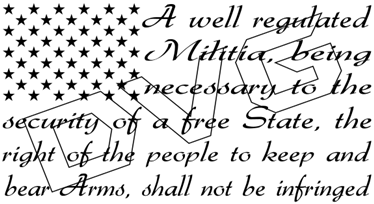 2nd Amendment Flag