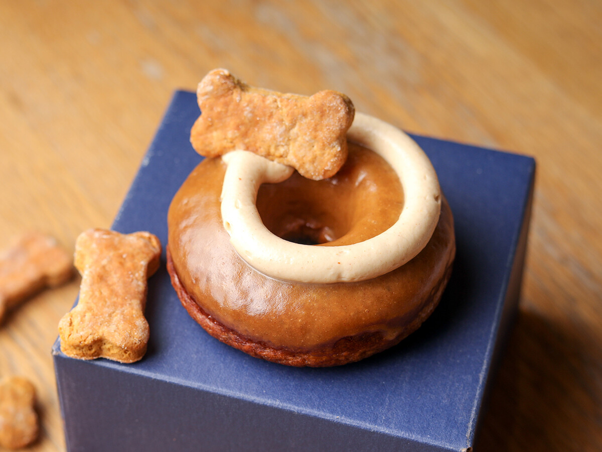 Doggy Donut
