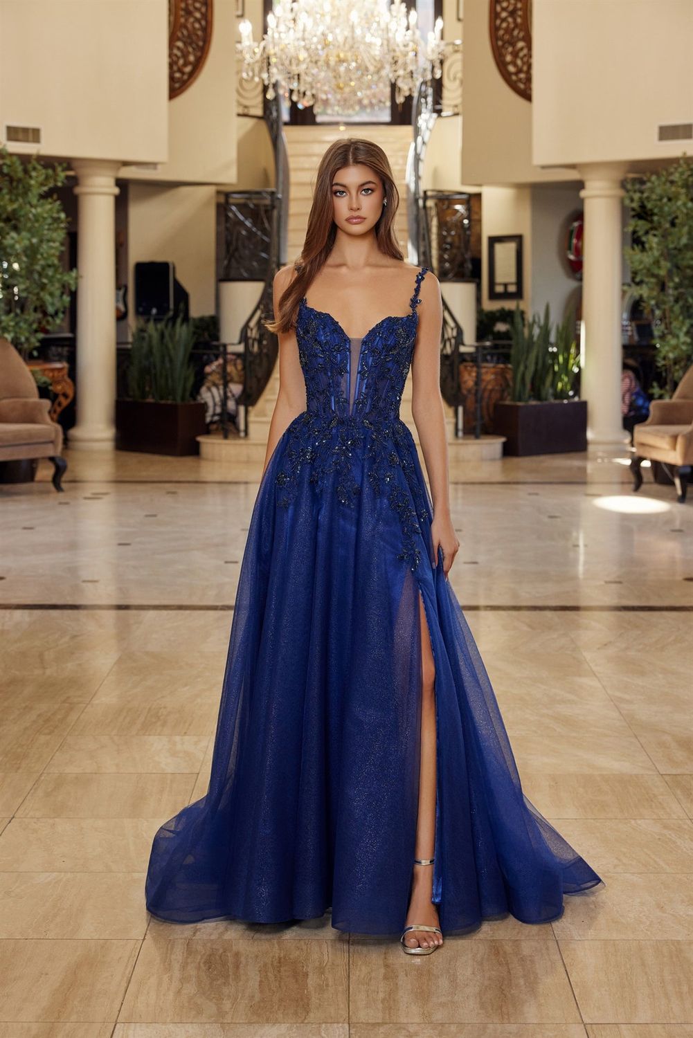 Regal Refined Shimmering Illusion plunging neck Gown for Evening Celebration NXR1824