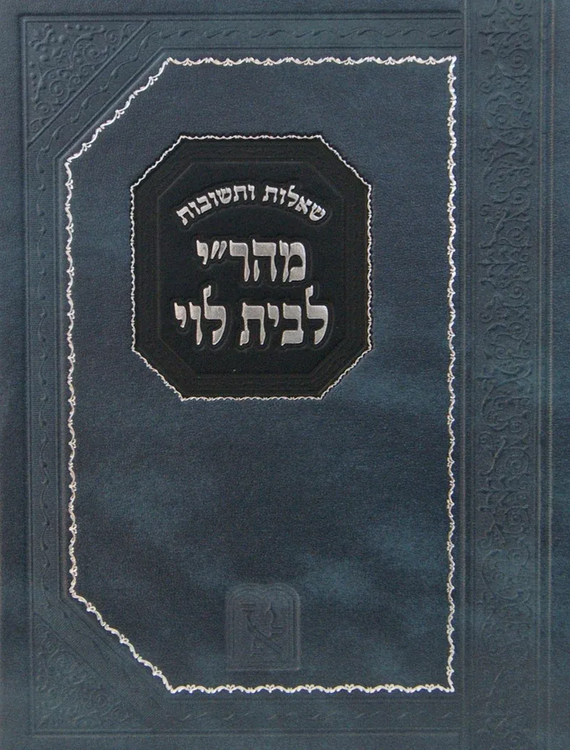 שו"ת מהר"י לבית לוי - בינוני