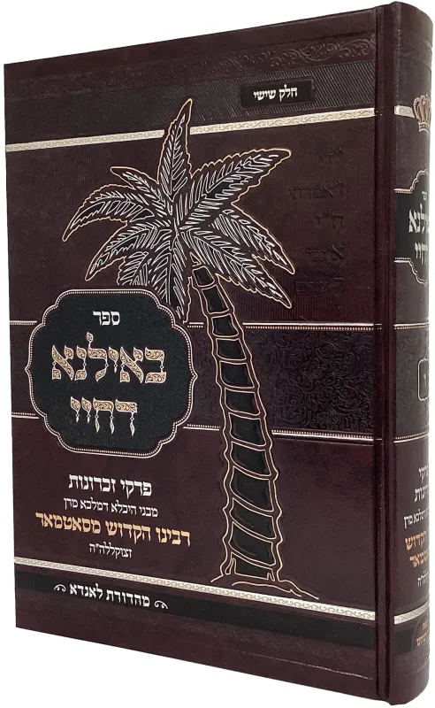 סיפורי צדיקים און אידיש
