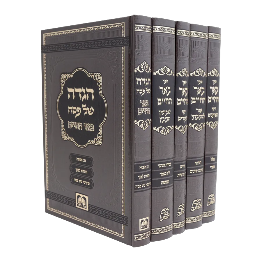 באר החיים - מועדים (ר' אלימלך בידרמן שליט"א)