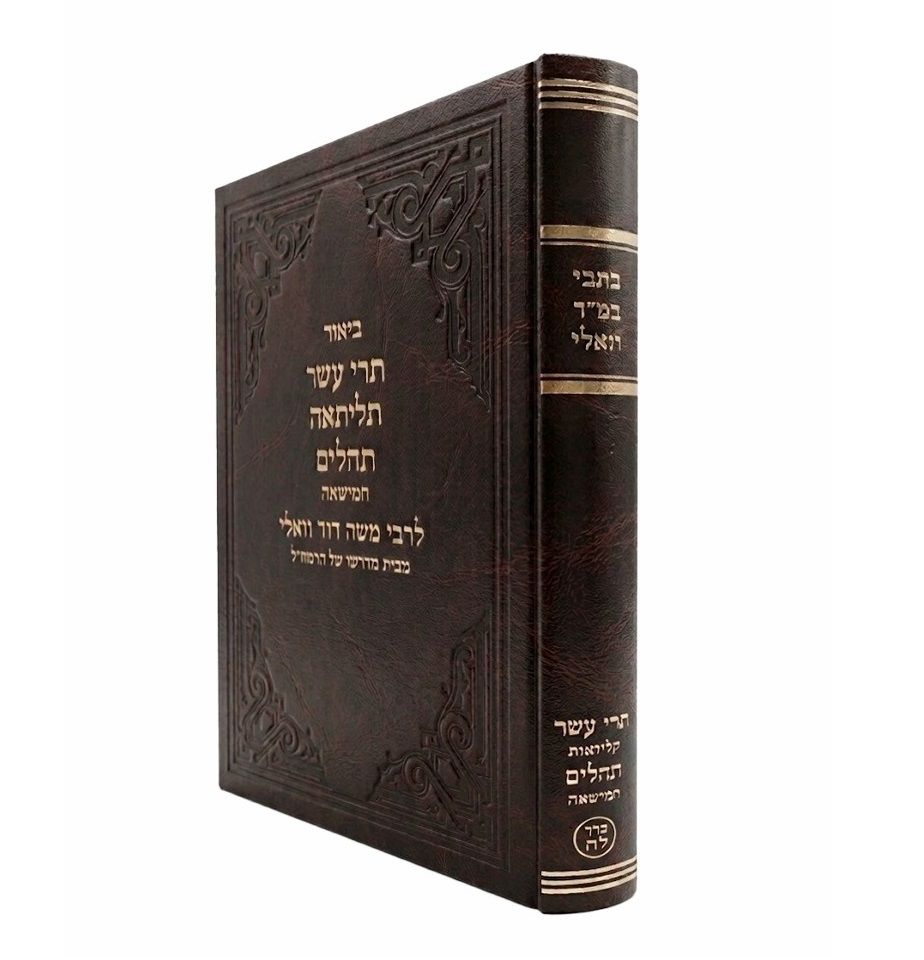 ביאור תרי עשר תליתאה תהלים חמישאה - רמ"ד וואלי
