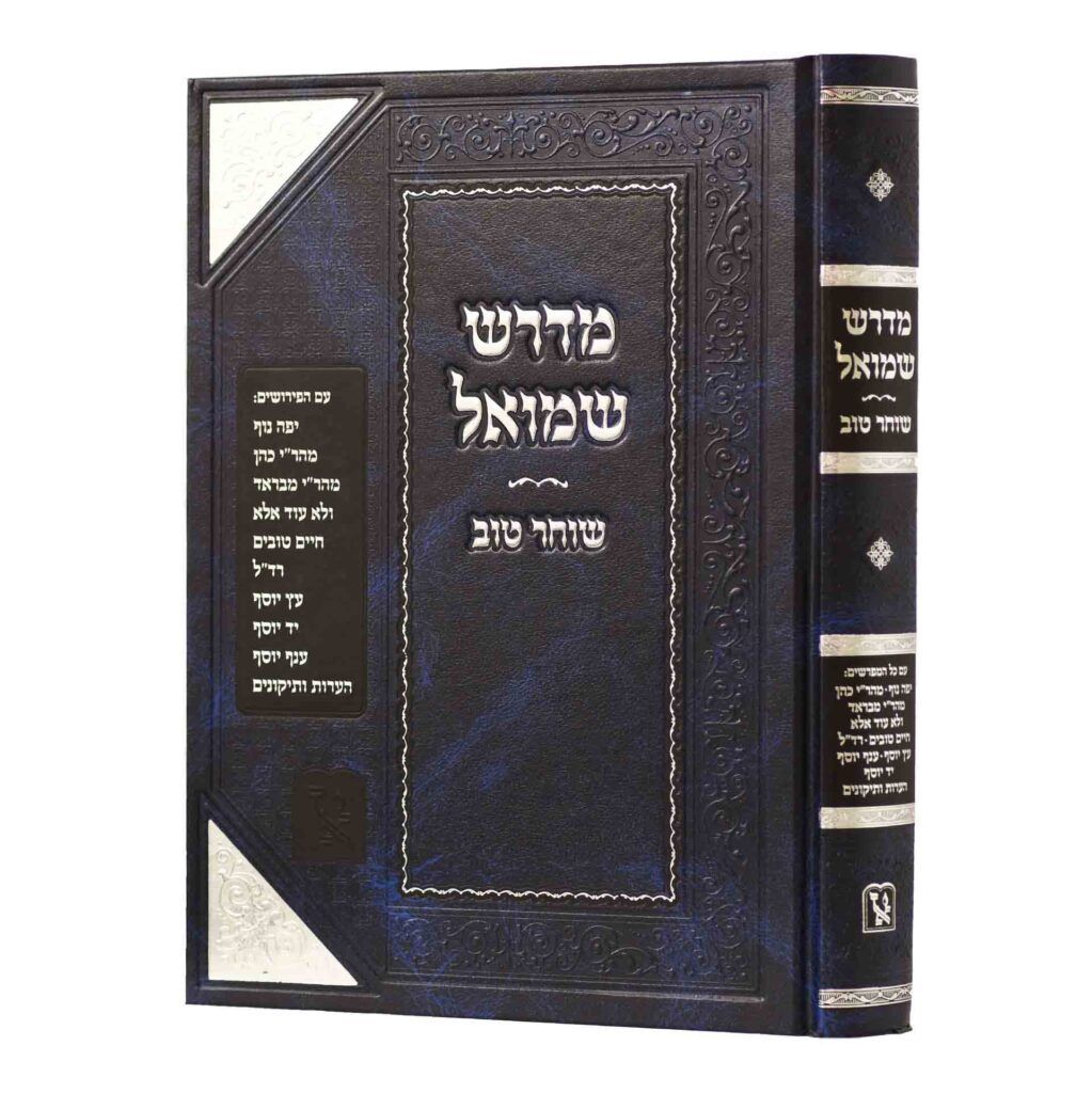 מדרש שמואל על ספר שמואל