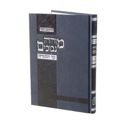 מורה נבוכים על התורה