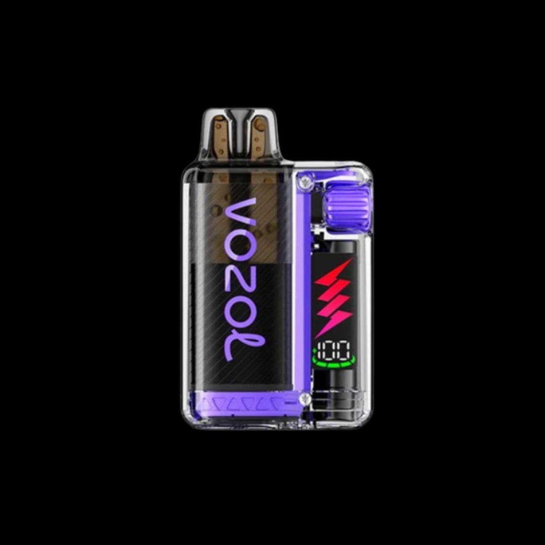VOZOL VISTA PLUG 10000 Blueberry Raspberry Lemon