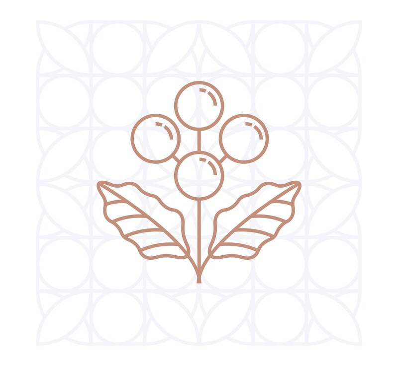 Specialty Coffee  - القهوة المختصة