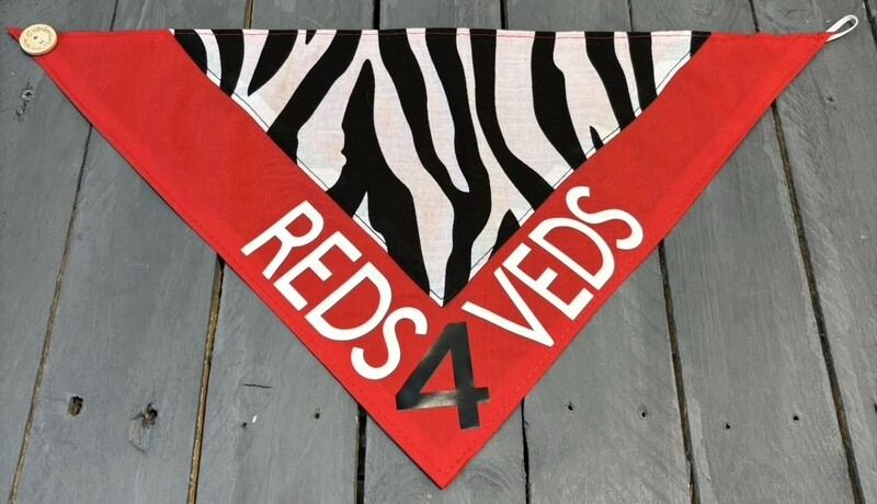 Handmade Dog Bandana
