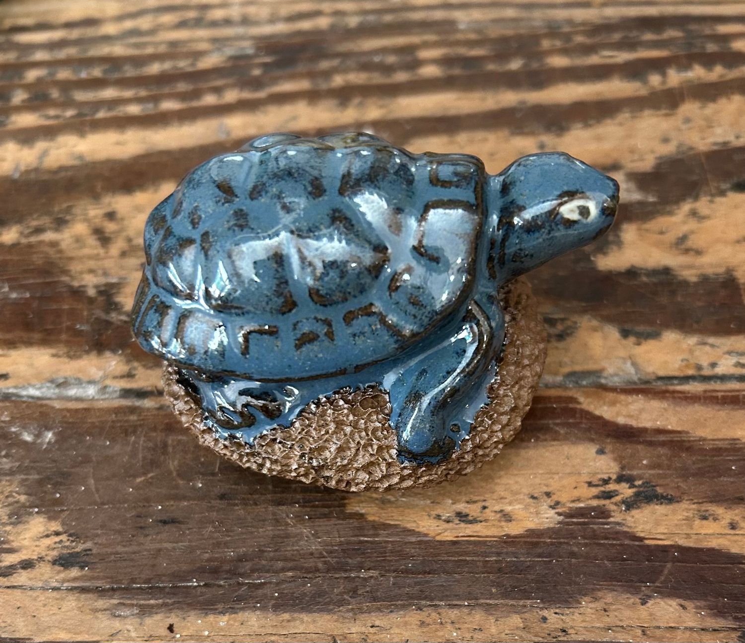 Pedicure Friend-Turtle