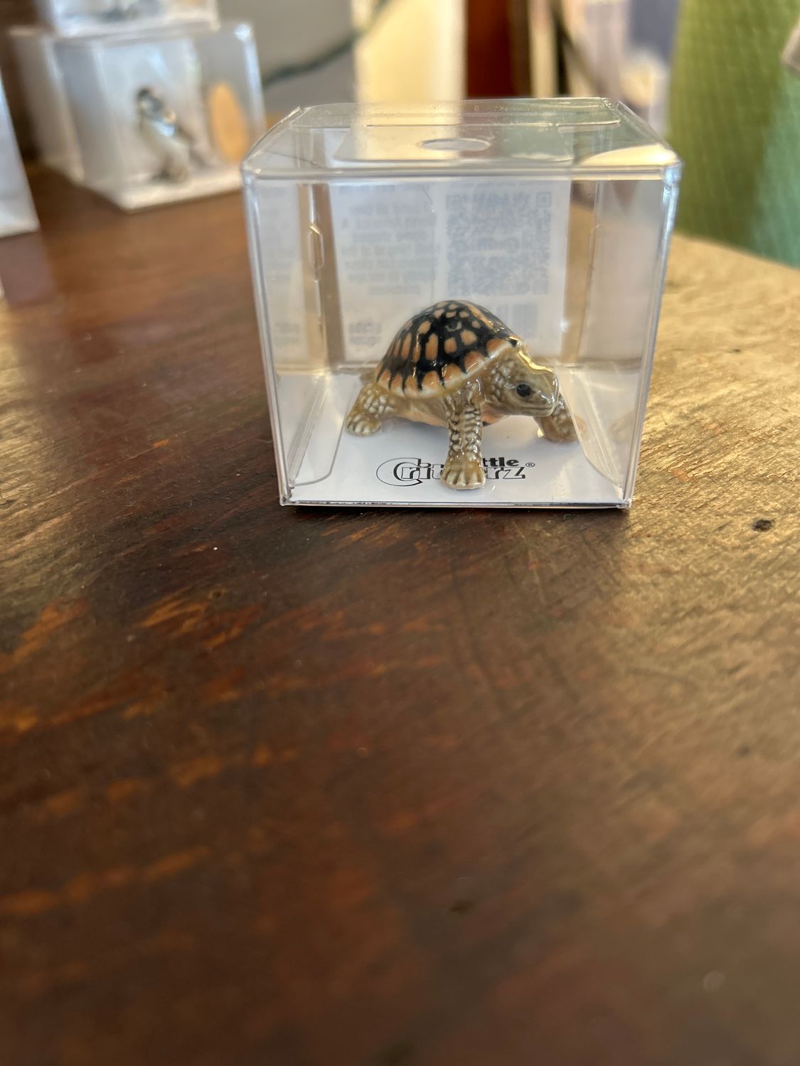 "Dom" Box Turtle Porcelain Miniature