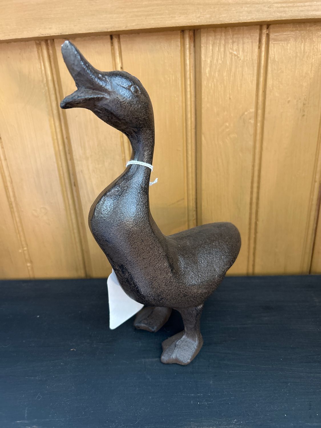 Iron Duck
