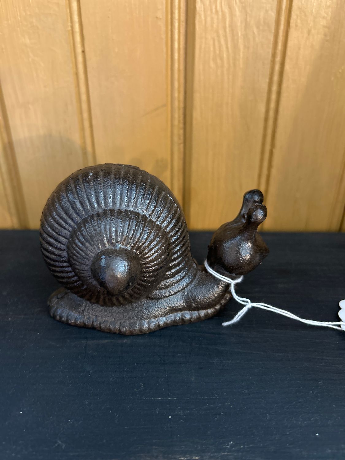 Snail