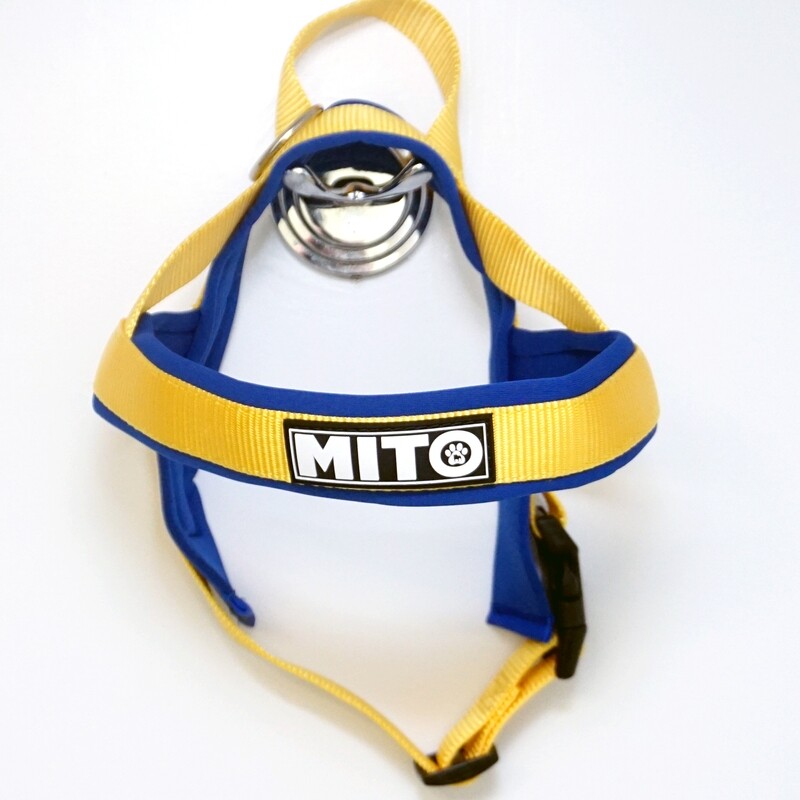 LIMITED EDITION Sunrise Walk