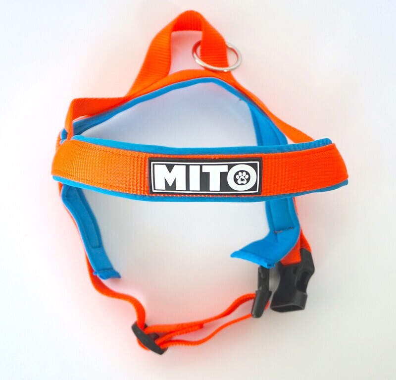 LIMITED EDITION Coastal Walk