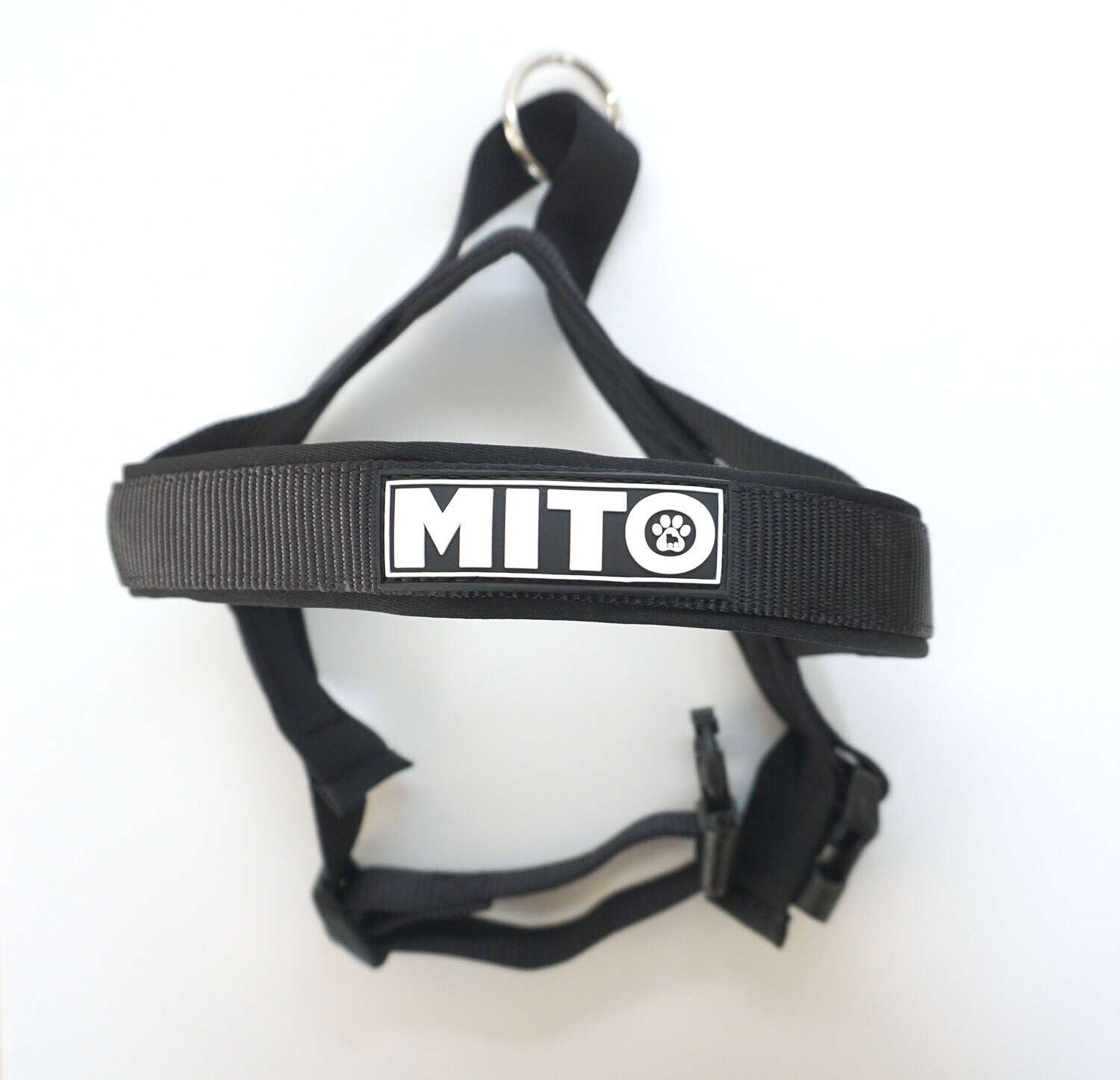 LIMITED EDITION Night Walk