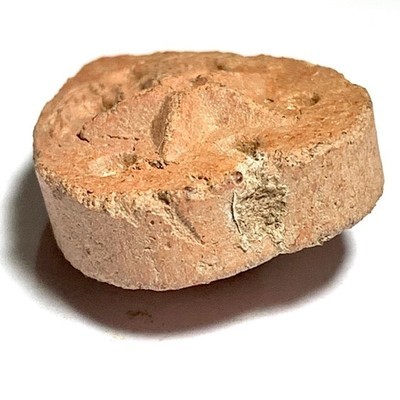 Daw Nai Pan Nai Pon Pim Lek Nuea Pong Aathan Early Era Amulet Nuea Pong Asupa Luang Por Pina Free Shipping