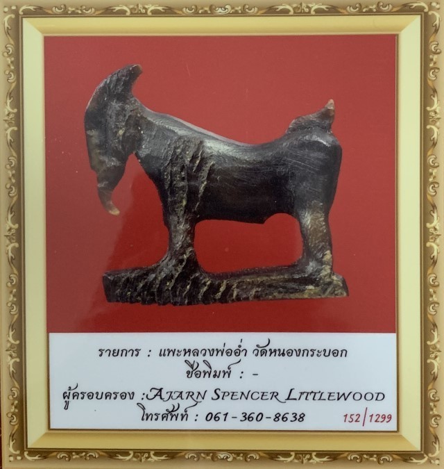 Pae Maha Lap Khao Kwai Gae Luang Por Am 2470 BE Carved Horn Lucky Goat 3rd Prize Competition Winner Certificate Free EMS