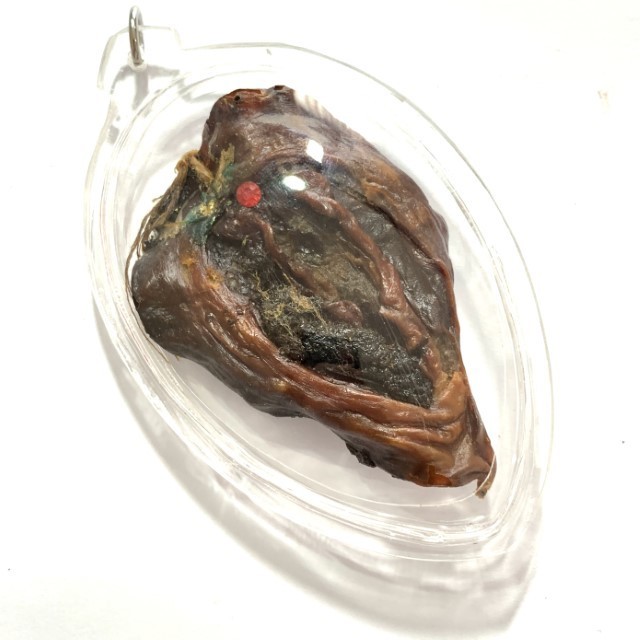 Chin Aathan Yoni Mae Nuea Horm Pim Jumbo Fang Ploi Gold Takrut Luang Por Pina Wat Sanom Lao