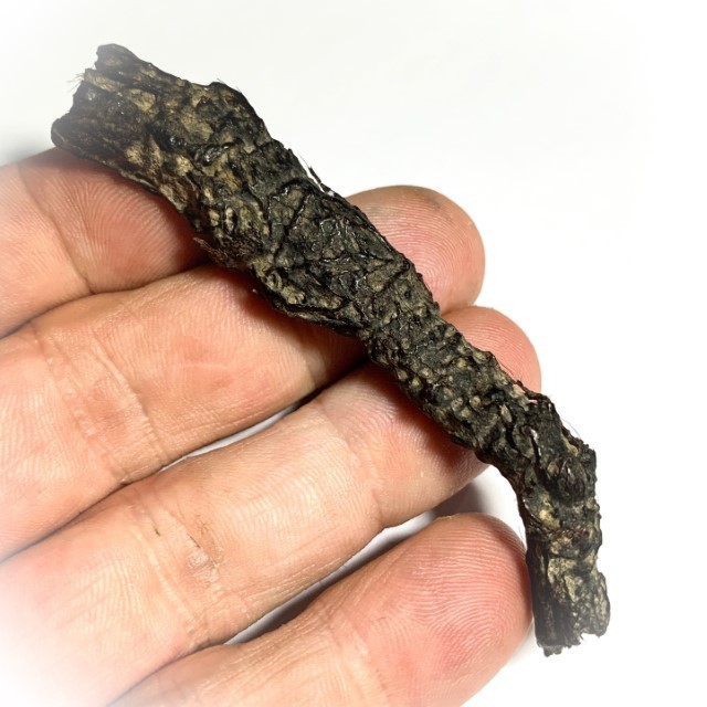 Takrut Hnaa Phaag Suea Tiger of Maha Amnaj Forehead Hide Amulet 2480 BE Luang Por Jong Wat Na Tang Nork