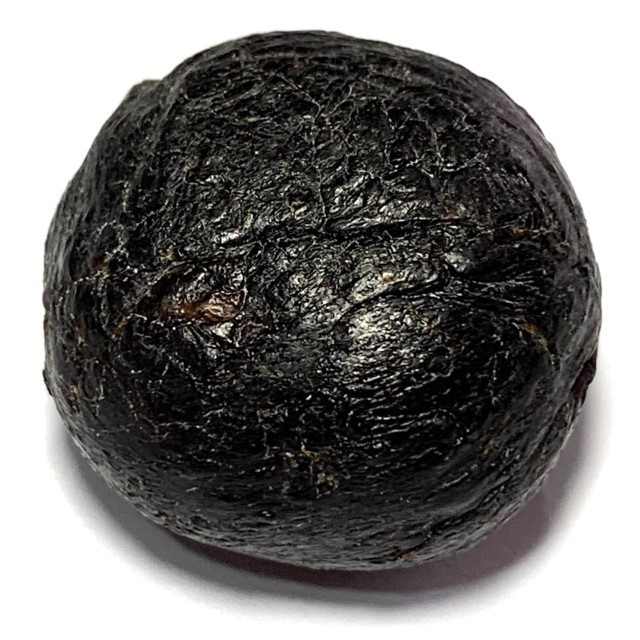 Look Om Ying Mai Ork Nuea Krang Sacred Wishing Ball Luang Por Tong Sukh Wat Tanode Luang 2470 BE