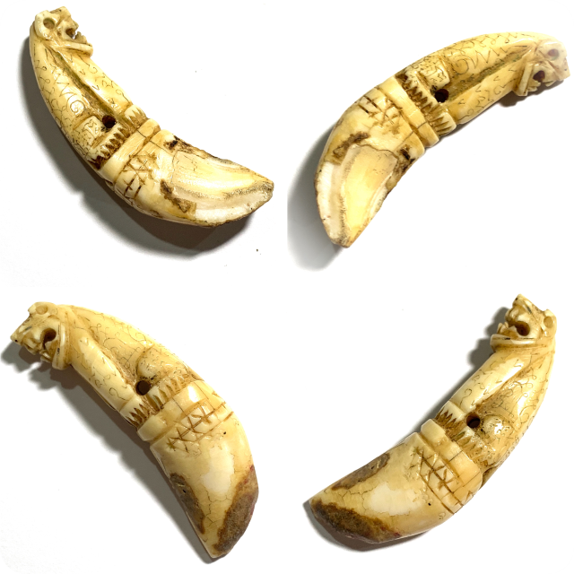 Khiaw Suea Fai Golden Jungle Cat Tooth Hand Inscriptions Luang Por Nok Wat Sangkasi