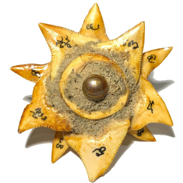 Daw Fan Chalaam Shark Teeth Lucky Star with Duang Ta Aathan Shiva Eye Pearl & Gemstone Prai Powders Hand Inscriptions Luang Por Pina FREE EMS