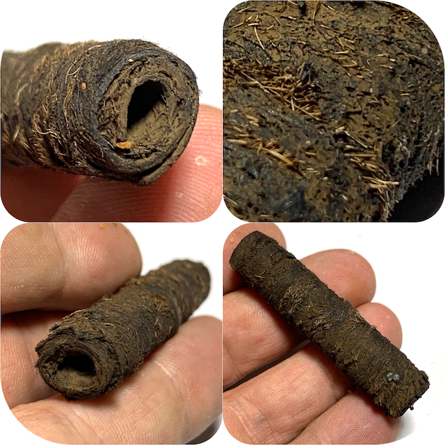 Takrut Hnaa Bpaag Suea Maha Amnaj Tiger Forehead Fur Spell 5.5 Cm Circa 2450 BE Luang Por Parn Wat Bang Hia Free EMS