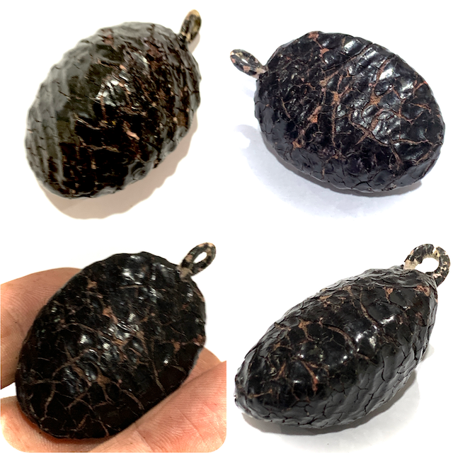 Bia Gae Thak Chueak Long Rak Huang Diaw Ancient Cowrie Shell Amulet Luang Phu Rod Wat Nai Rong Free EMS