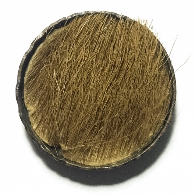 Rian Dtalab See Pheung Hlang Hnaa Phaag Suea Kroeng 2518 BE Monk Coin with Tiger Fur + Muan Sarn in Rear Face Luang Por Te Wat Sam Ngam