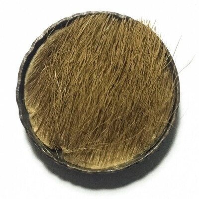 Rian Dtalab See Pheung Hlang Hnaa Phaag Suea Kroeng 2518 BE Monk Coin with Tiger Fur + Muan Sarn in Rear Face Luang Por Te Wat Sam Ngam
