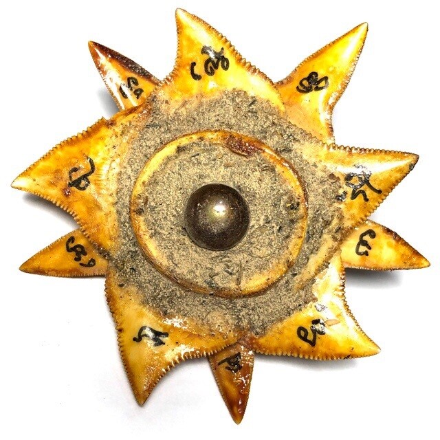 Daw Fan Chalaam Shark Teeth Lucky Star with Shiva Eye Pearl & Gemstone Prai Powders Hand Inscriptions Luang Por Pina FREE Express Shipping
