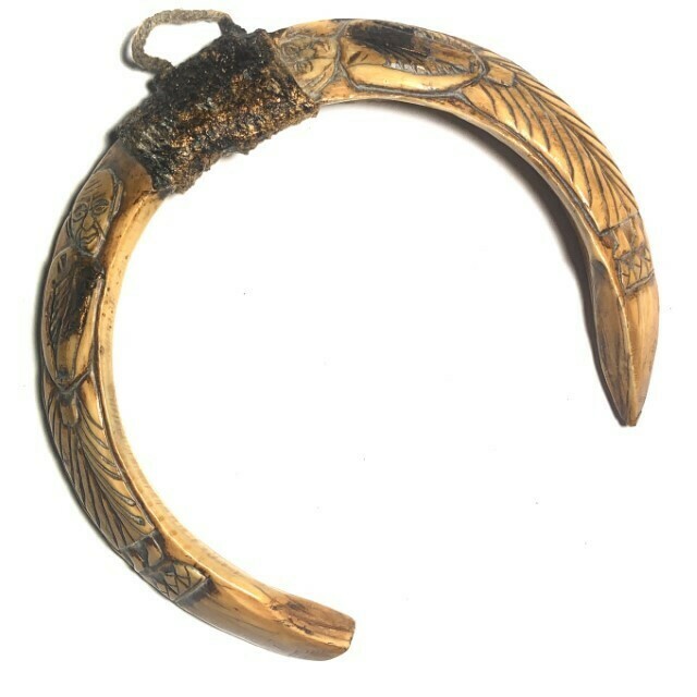 Khiaw Moo Dtan Koo Carved Twin Anomalous Wild Boar Tusks Hand Inscription 1st Prize Trophy Certificate Champ of Competition LP Tim Wat Laharn Rai - Express shipping Free