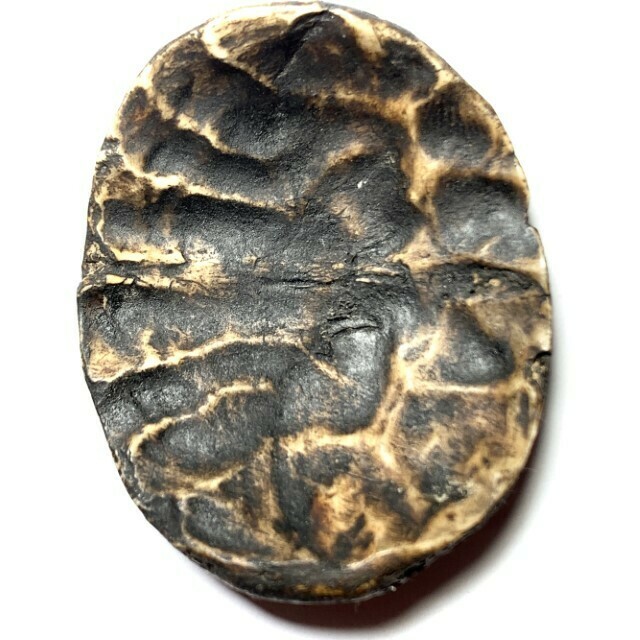 Ban Neng Phii Lu Wicha Lanna Carved Skullbone Circa 2460 BE Kroo Ba Nanta Wat Tung Man Dtai Free Express Shipping