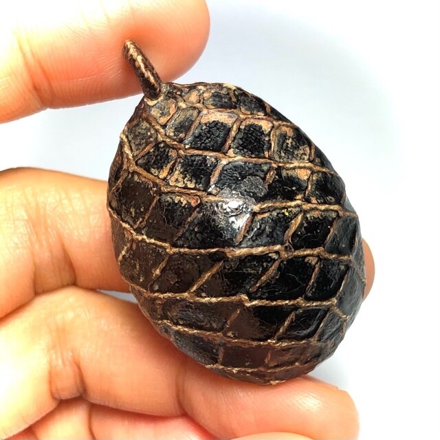 Bia Gae Thak ChueakTakhai Paetch Long Rak Huang Diaw Ancient Cowrie Shell Amulet Luang Phu Rod Wat Nai Rong