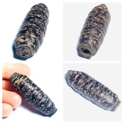 Takrut Hnaa Bpaag Suea Maha Amnaj Tiger Forehead Hide Spell 2450 BE 4 Cm Luang Phu Bun Wat Klang Bang Gaew