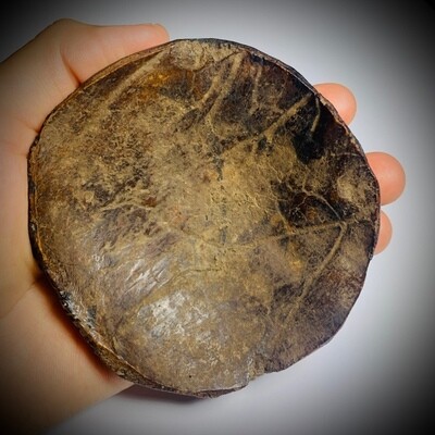 Ban Neng Khmer Boran Ancient Khmer Exhumed Bone Carving Hand Khom Spell Inscriptions 10 Cm