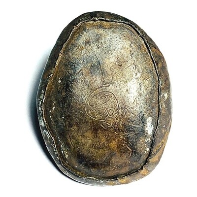 Bia Gae Hum Takua Mercurial Leaden Cowrie Shell Hand Spell Inscriptions Early Era Luang Phu Bun Wat Klang Bang Gaew