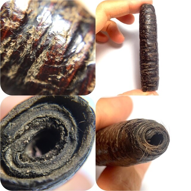Takrut Hnaa Bpaag Suea Maha Amnaj Large Size 7.5 Cm Tiger Forehead Scroll Spell 2450 BE Luang Phu Bun