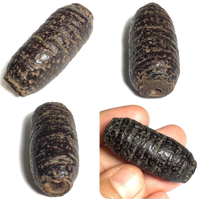 Takrut Hnaa Bpaag Suea Maha Amnaj Tiger Forehead Hide Spell 2450 BE 4.5 Cm Luang Phu Bun Wat Klang Bang Gaew