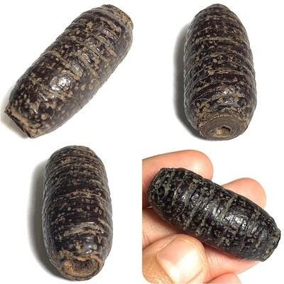 Takrut Hnaa Bpaag Suea Maha Amnaj Tiger Forehead Hide Spell 2450 BE 4.5 Cm Luang Phu Bun Wat Klang Bang Gaew