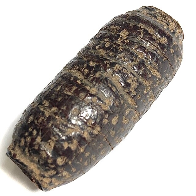 Takrut Hnaa Bpaag Suea Maha Amnaj Tiger Forehead Hide Spell 2450 BE 4.5 Cm Luang Phu Bun Wat Klang Bang Gaew