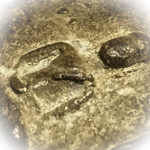 Pra Somdej Gaen Jantr 2497 BE Jaek Mae Krua Niyom - Luang Por Ngern Wat Don Yai Horm Only 300 Ever Made