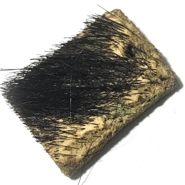 Hnaa Phaag Suea Maha Amnaj Indochina Wartime Tiger Forehead Amulet Circa 2480 BE - Luang Por Jong - Wat Na Tang Nork