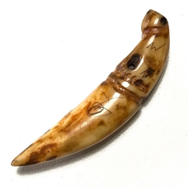 Khiaw Suea Fai Golden Jungle Cat Tooth with Hand Inscriptions Luang Por Nok Wat Sangkasi