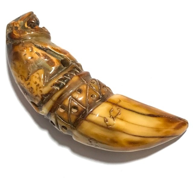 Khiaw Dtem Gae Suea Carved Tooth Tiger Amulet with Hand Inscriptions Luang Por Nok Wat Sangkasi