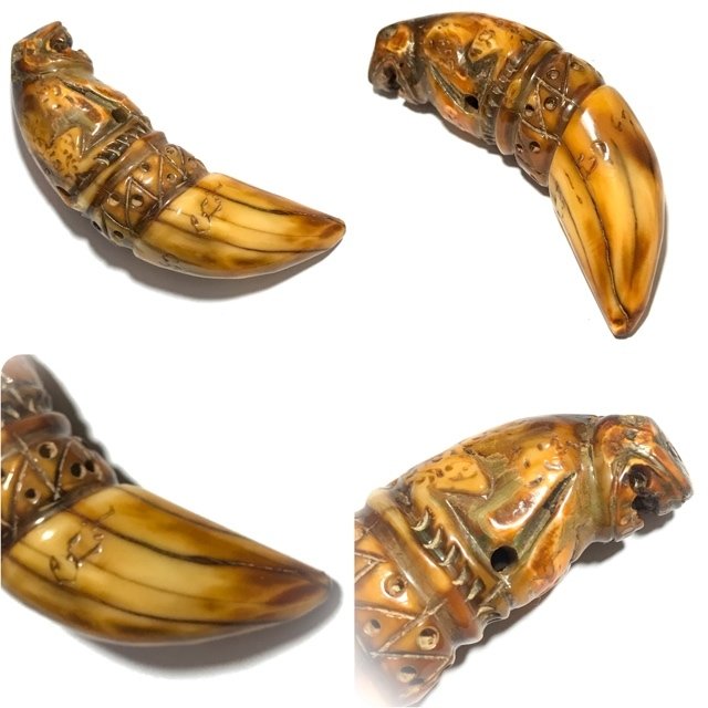 Khiaw Dtem Gae Suea Carved Tooth Tiger Amulet with Hand Inscriptions Luang Por Nok Wat Sangkasi