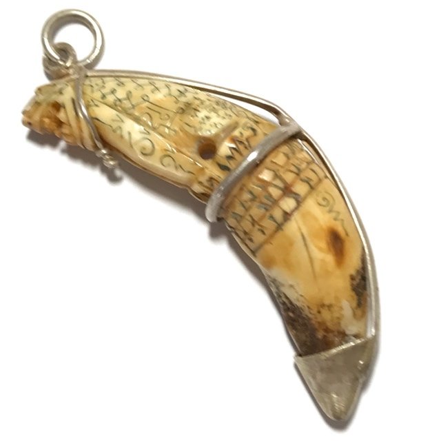 Khiaw Gae Suea Carved Tooth Tiger Amulet Khom Spell Inscriptions Silver Wire Frame Luang Por Nok Wat Sangkasi