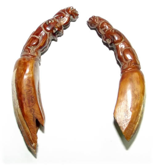 2 Wild Boars Tusks with Sacred Khom Agkhara Inscriptions, by Luang Por Phern Wat Bang Pra - Circa 2520 BE